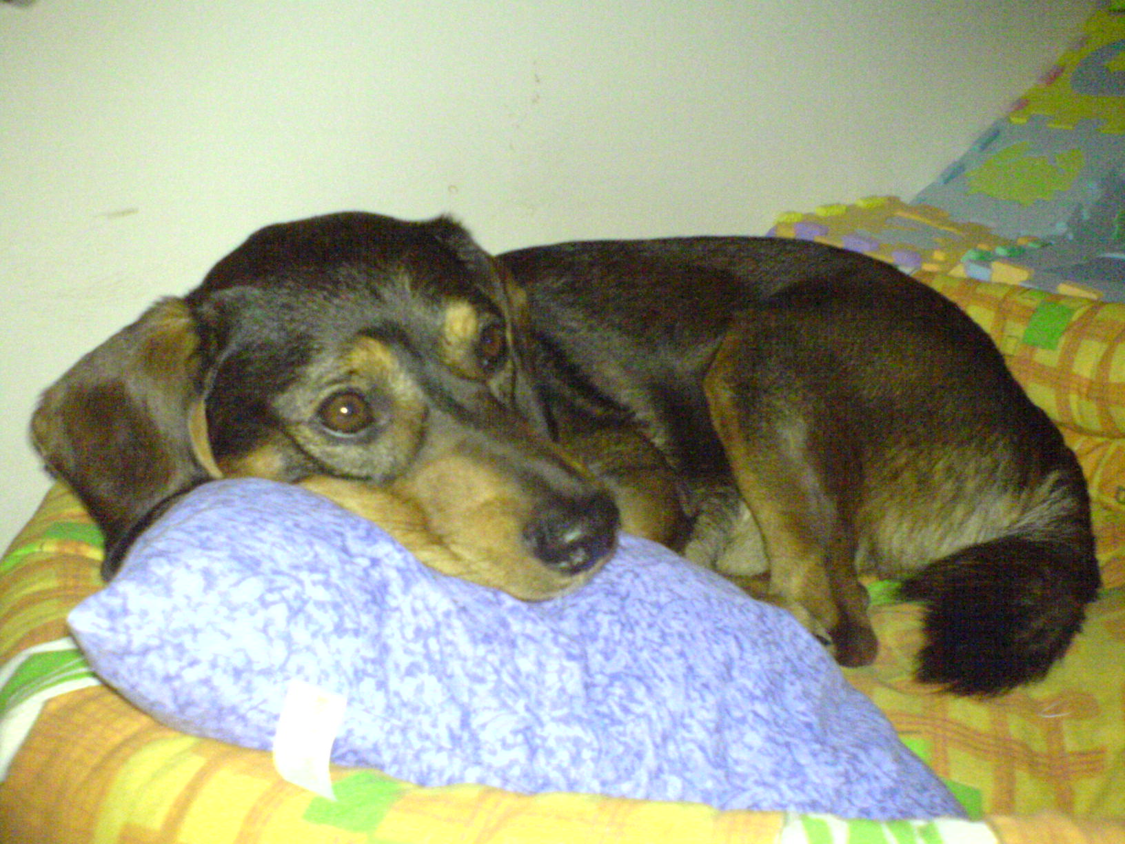 DSC00240.JPG
