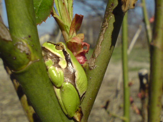 DSC00185.JPG