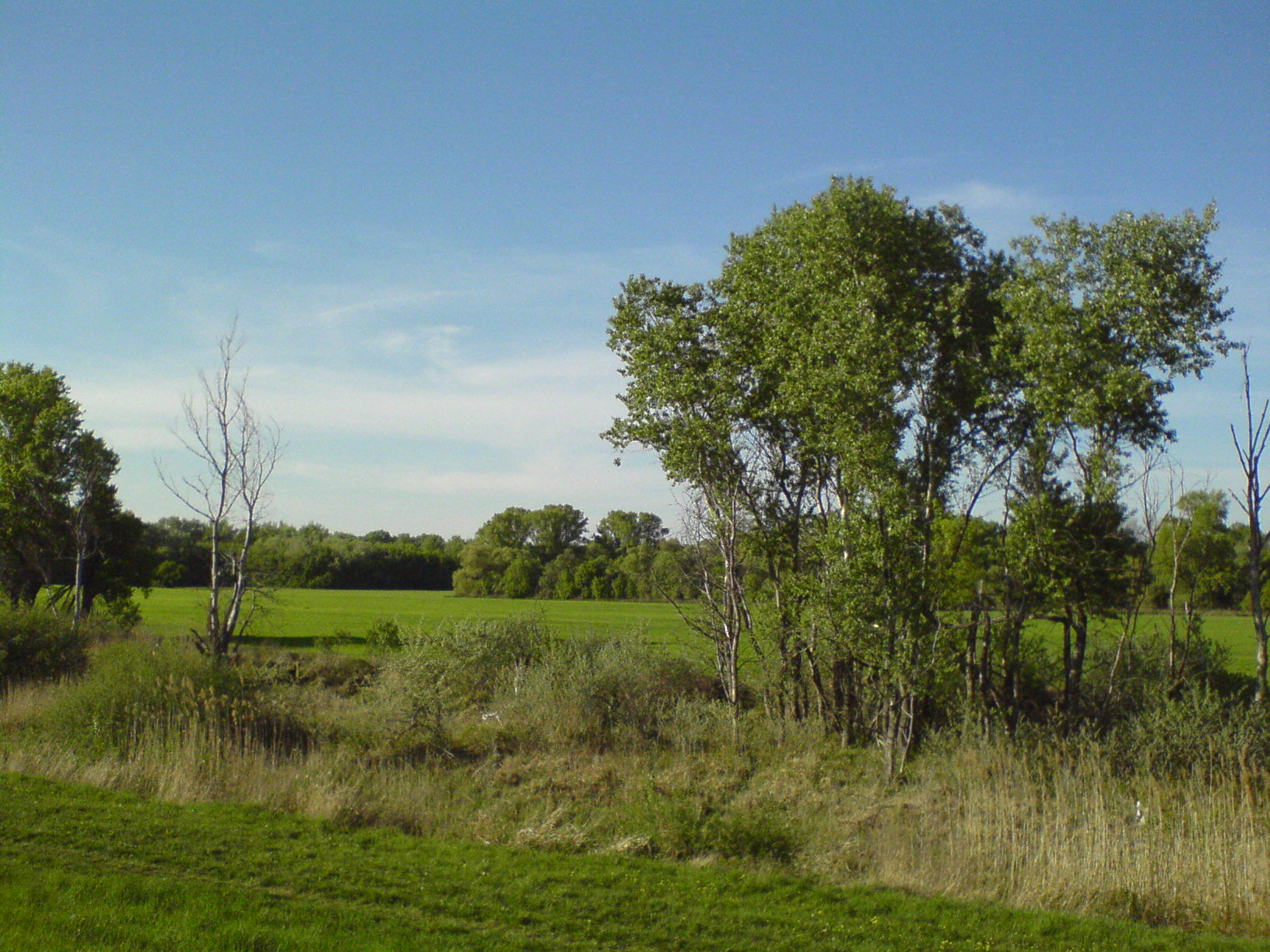 DSC00296.JPG