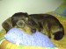DSC00240.JPG