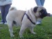 DSC00264.JPG